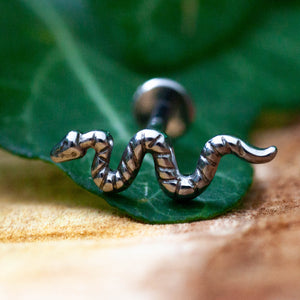 Serpente in titanio ASTM F136 da implantologia certificato e in PVD gold. Un piercing divertente per chi ama qualche azzardo e le novità. Scegli questo piercing con il serpente, simbolo di conoscenza occulta, e aggiungi un tocco di mistero al tuo look: preparati a lasciare tutti a bocca aperta!